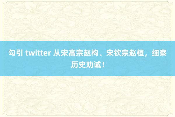 勾引 twitter 从宋高宗赵构、宋钦宗赵桓，细察历史劝诫！