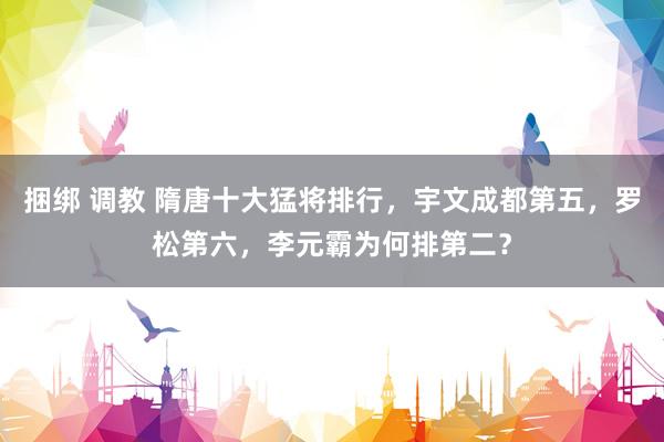 捆绑 调教 隋唐十大猛将排行，宇文成都第五，罗松第六，李元霸为何排第二？