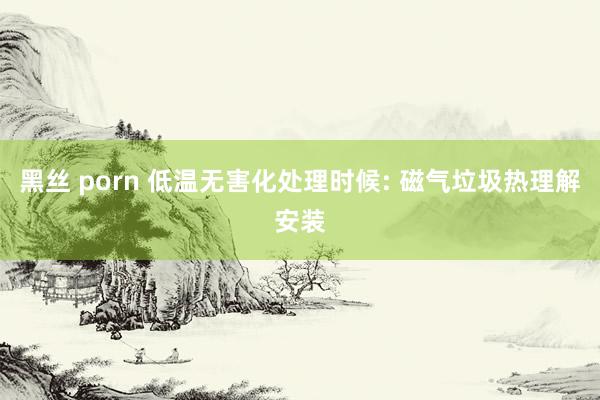 黑丝 porn 低温无害化处理时候: 磁气垃圾热理解安装