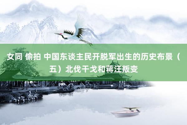 女同 偷拍 中国东谈主民开脱军出生的历史布景（五）北伐干戈和蒋汪叛变