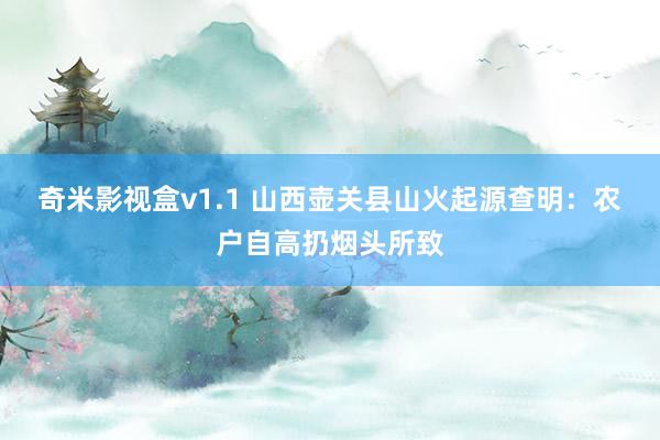 奇米影视盒v1.1 山西壶关县山火起源查明：农户自高扔烟头所致